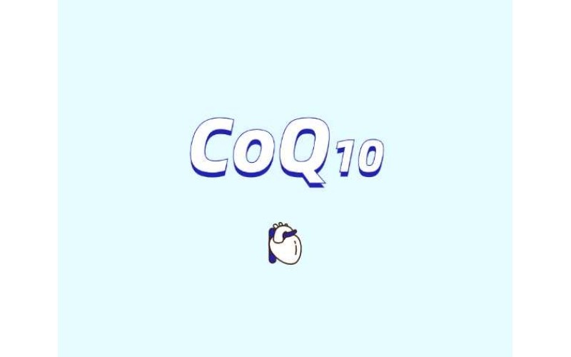 辅酶Q10在肥胖管理中的潜在作用