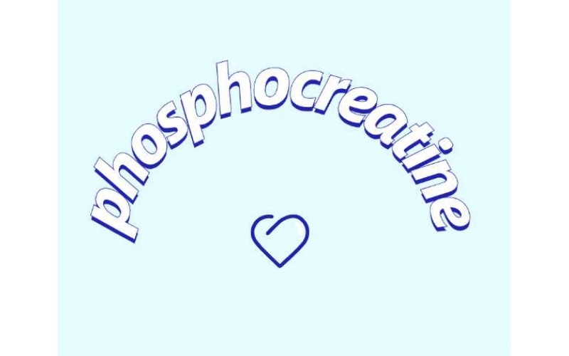 认识一下磷酸肌酸钠