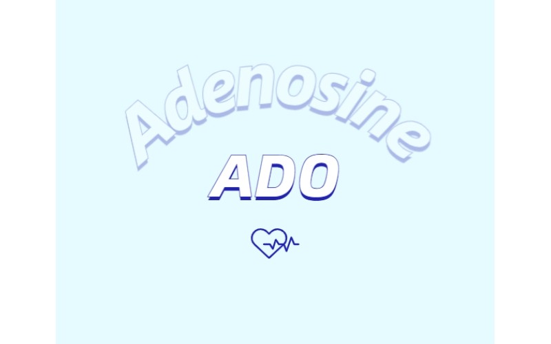 腺苷作为抗脱发外用制剂所发挥的作用